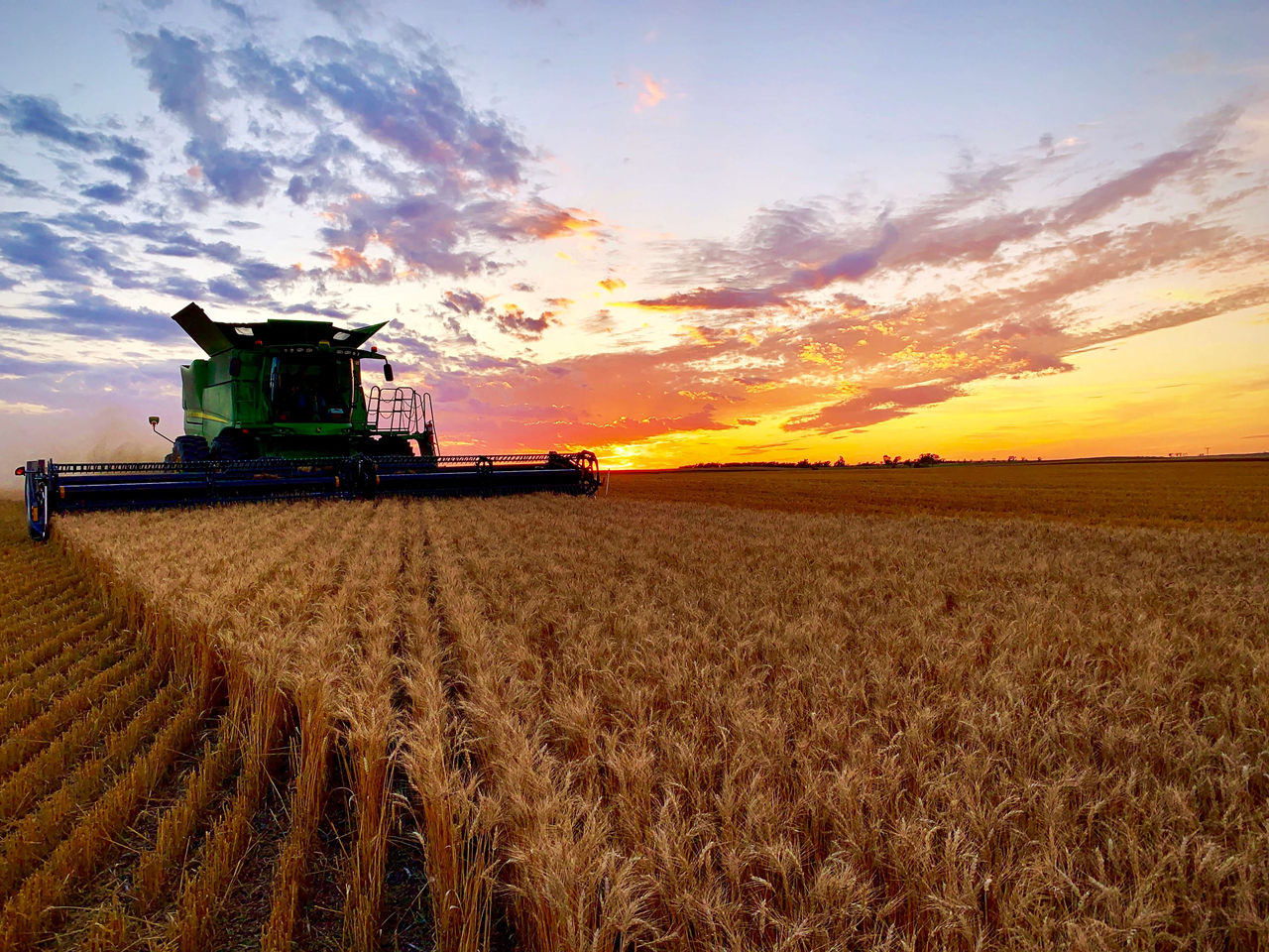 Fall Harvest