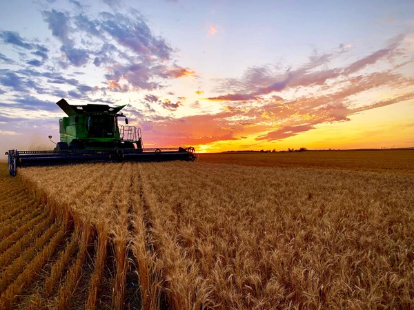 Fall harvest